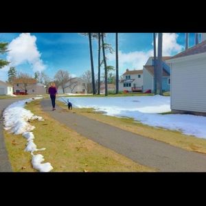 Meet your Posher, Lainey